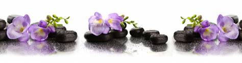 Изображение для скинали: Фиолетовые цветки на камнях
