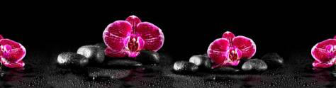 Изображение для скинали: Цветки орхидеи на черных камнях