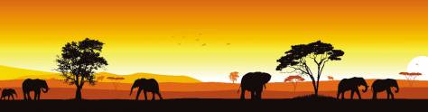 Изображение для скинали: Сафари, слоны на закате