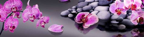 Изображение для скинали: Розовые орхидеи на камнях