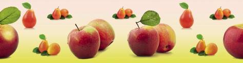 Изображение для скинали: Коллаж яблоки и груши