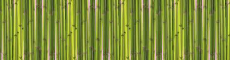 Изображение для скинали: Зеленый бамбуковый забор