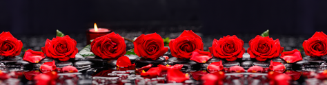 Изображение для скинали: Красные розы