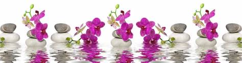 Изображение для скинали: Ветки орхидеи на воде