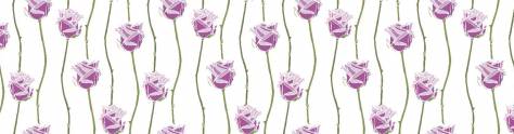 Изображение для скинали: Фиолетовые тюльпаны
