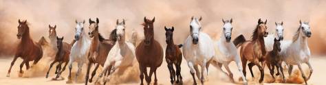 Изображение для скинали: Бегущие лошади