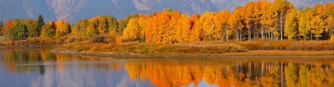 Изображение для скинали: Осенний лес на фоне гор