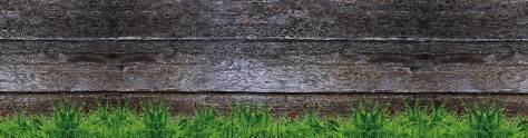 Изображение для скинали: Трава на фоне деревянного забора