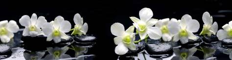 Изображение для скинали: Белоснежная орхидея на черных камнях 