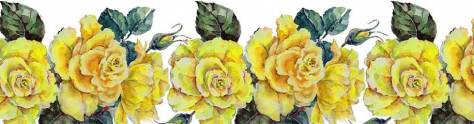 Изображение для скинали: Желтые розы