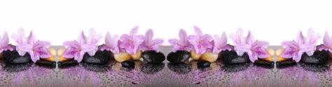 Изображение для скинали: Фиолетовые цветы на камнях с каплями воды
