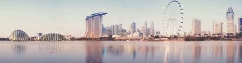 Изображение для скинали: Колесо обозрения в Сингапуре