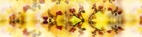 Изображение для скинали: Желтые орхидеи над водой