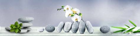 Изображение для скинали: Орхидеи на камнях