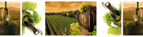 Изображение для скинали: Коллаж бутылки вина на винном поле
