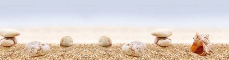 Изображение для скинали: Ракушки на песке