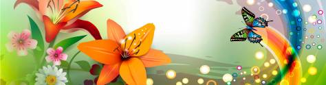 Изображение для скинали: Бабочка и цветы-радужный узор