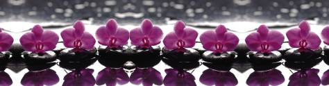 Изображение для скинали: Фиолетовые орхидеи на камнях