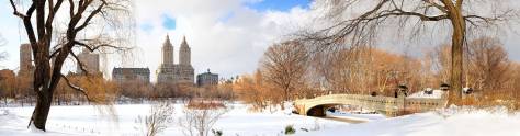 Изображение для скинали: Центральный парк зимой, Нью-Йорк