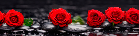 Изображение для скинали: Красные розы на черных камнях