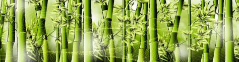 Изображение для скинали: Зеленый бамбук 