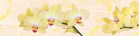 Изображение для скинали: Желтая орхидея и вензеля 