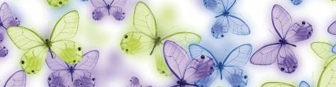 Изображение для скинали: Разноцветные бабочки