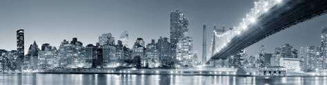 Изображение для скинали: Ночной Нью-Йорк в серых тонах