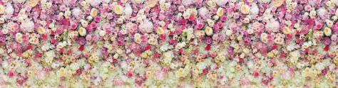 Изображение для скинали: Цветы, свисающие со стены