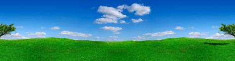 Изображение для скинали: Синее небо, зеленая трава
