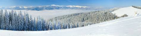 Изображение для скинали: Зимний горный пейзаж с елями