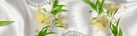 Изображение для скинали: Лилии и жемчуг на белом шелке