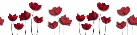 Изображение для скинали: Красные 3D цветы