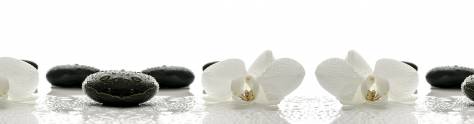 Изображение для скинали: Белые орхидеи с черными камнями
