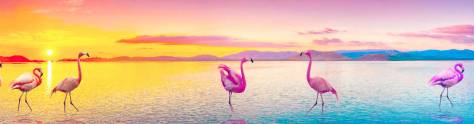 Изображение для скинали: Розовый фламинго и красивые пейзажи природы