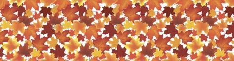 Изображение для скинали: Осенние кленовые листья