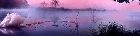 Изображение для скинали: Туман над рекой и лебеди 
