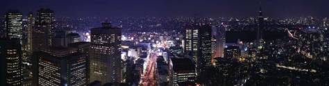 Изображение для скинали: Панорама ночного города