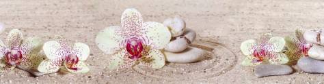 Изображение для скинали: Орхидеи на печке