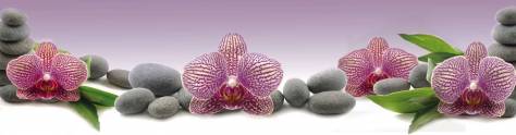 Изображение для скинали: Фиолетовые орхидеи с серыми камнями