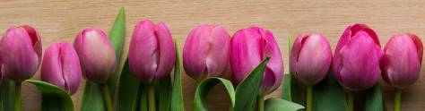 Изображение для скинали: Фиолетовые тюльпаны на коричневом