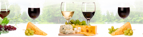 Изображение для скинали: Сыр, вино и бокалы с вином на фоне леса