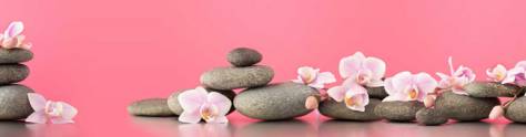 Изображение для скинали: Орхидеи на камнях с розовым фоном