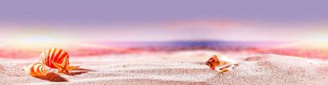 Изображение для скинали: Ракушки в песке крупным планом 