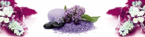 Изображение для скинали: Фиолетовые цветы