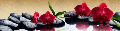Изображение для скинали: Ароматные цветы на черных камнях 