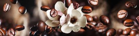 Изображение для скинали: Кофейные зерна и цветы