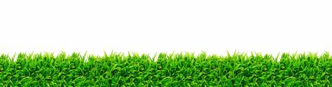 Изображение для скинали: Пушистая зеленая трава 