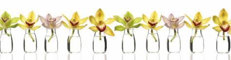 Изображение для скинали: Орхидеи в сосудах