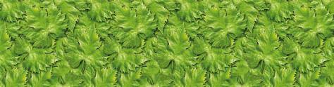 Изображение для скинали: Текстура зеленых листьев